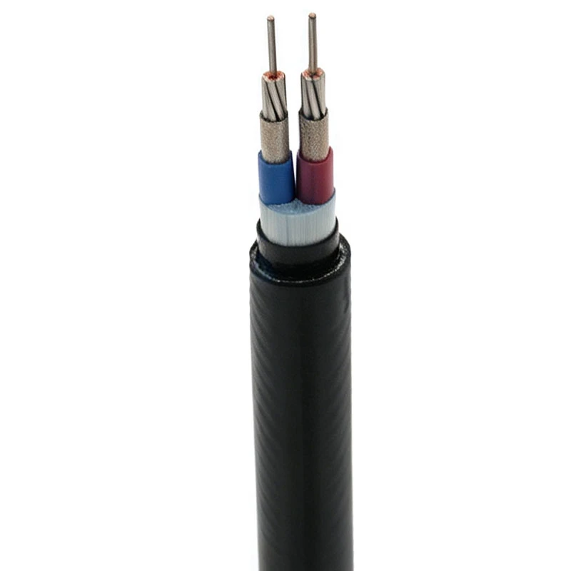 2 Core Marine Cable